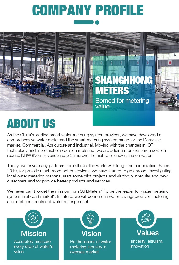 company introduction