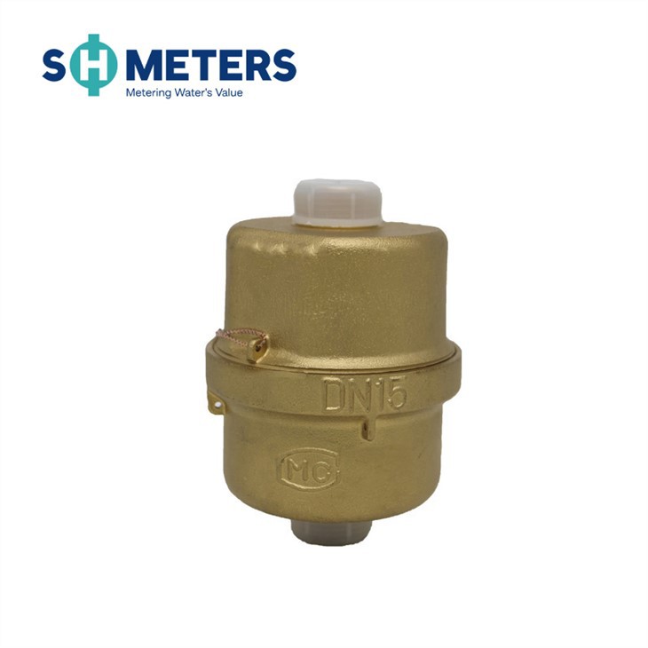 R200 Kent Volumetric Rotary Piston Water Meters Dn15 DN15~DN25 Household Dry Dial Plastic,brass