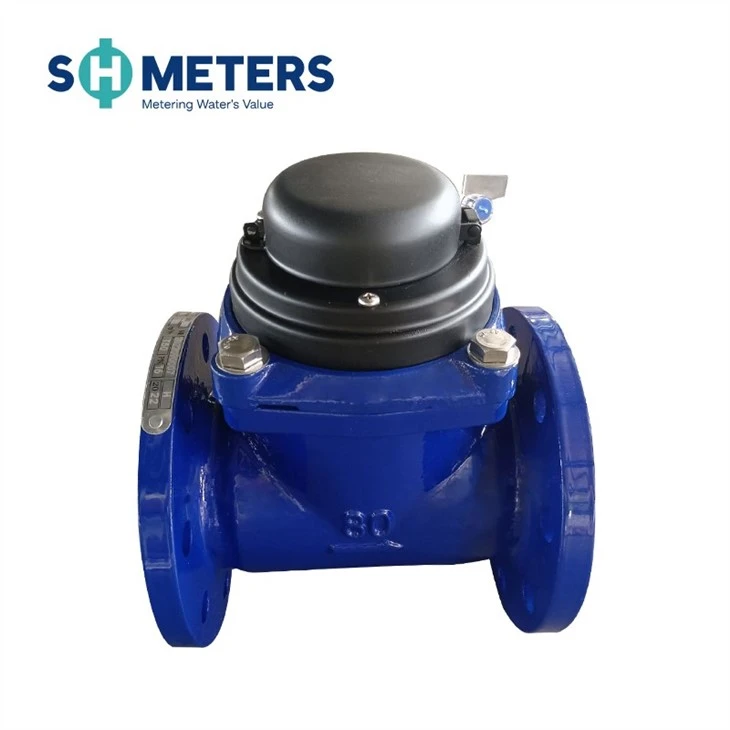 Removable Horizontal Dry Type Woltman Water Meters