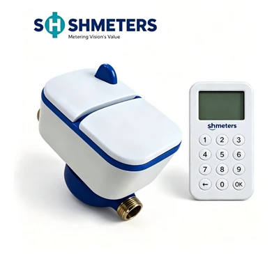 STS Prepaid Water Meter R100/160 SH5112