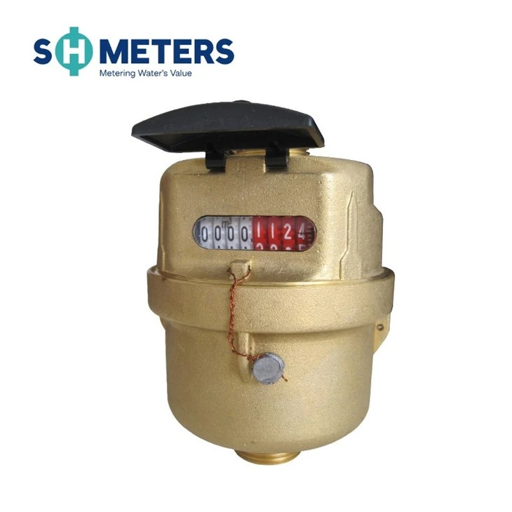 Volumetric Water Meter R160,200,250 Brass Body For Residential